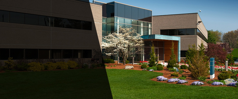 Gouverneur Landscapers