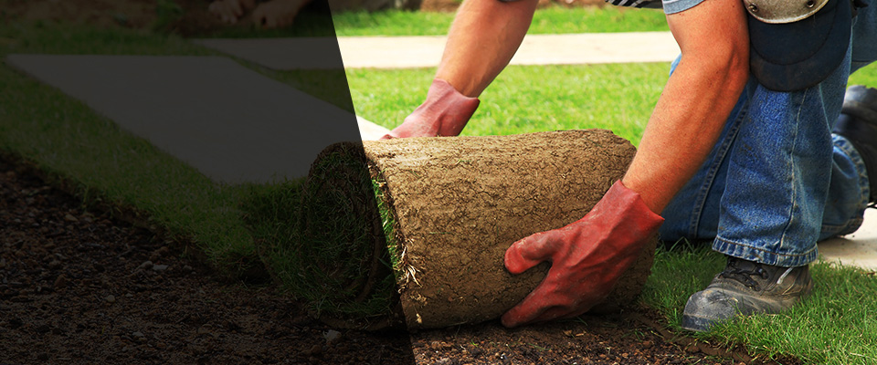 Gouverneur Landscapers